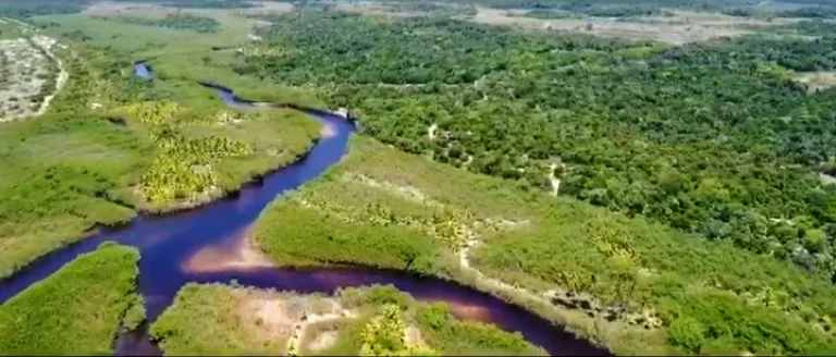 Imagem Fazenda Prazeres Piracanga