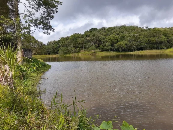 Imagem Sitio com 6 alqueires Tapiraí
