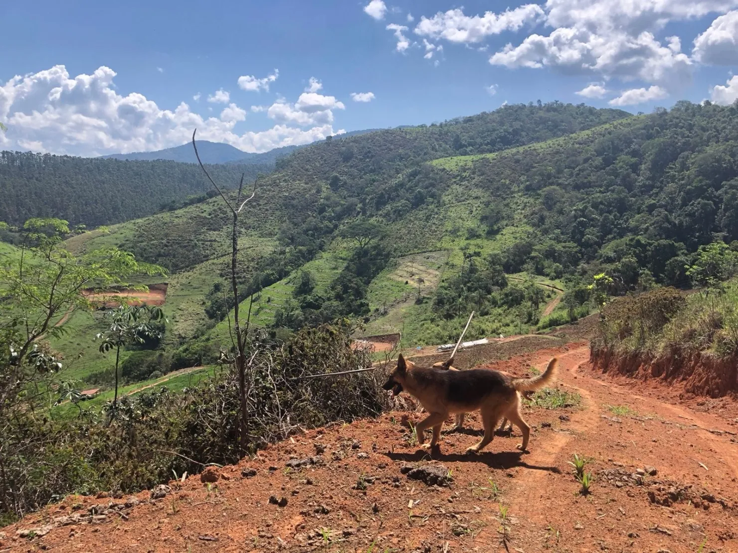 Imagem Sítio com 9 Alqueires em Ribeirão Grande com Abundância de Água
