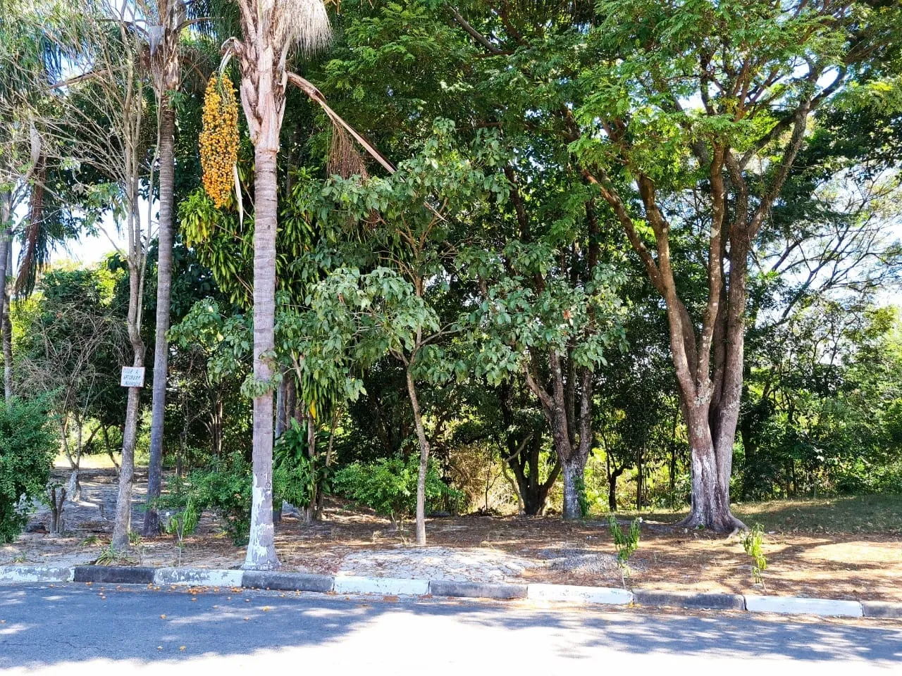 Imagem Casa à venda 3 Quartos, 1 Suite, 3 Vagas, 250M², Conjunto Habitacional Terra dos Ipês I (Norte), Pindamonhangaba - SP