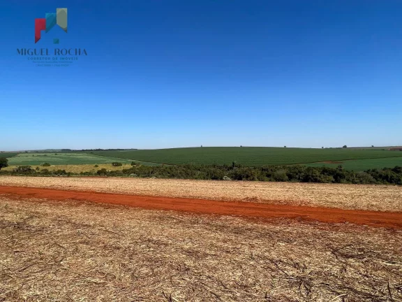 Imagem Fazenda região de Avaré SP