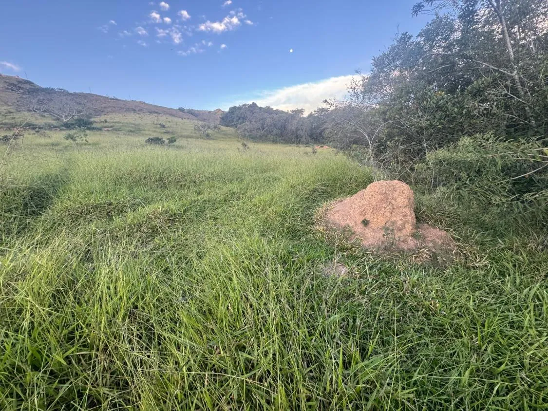 Imagem Venda de Excelente Terreno em Piedade dos Gerais/MG 3 hectares de terra
