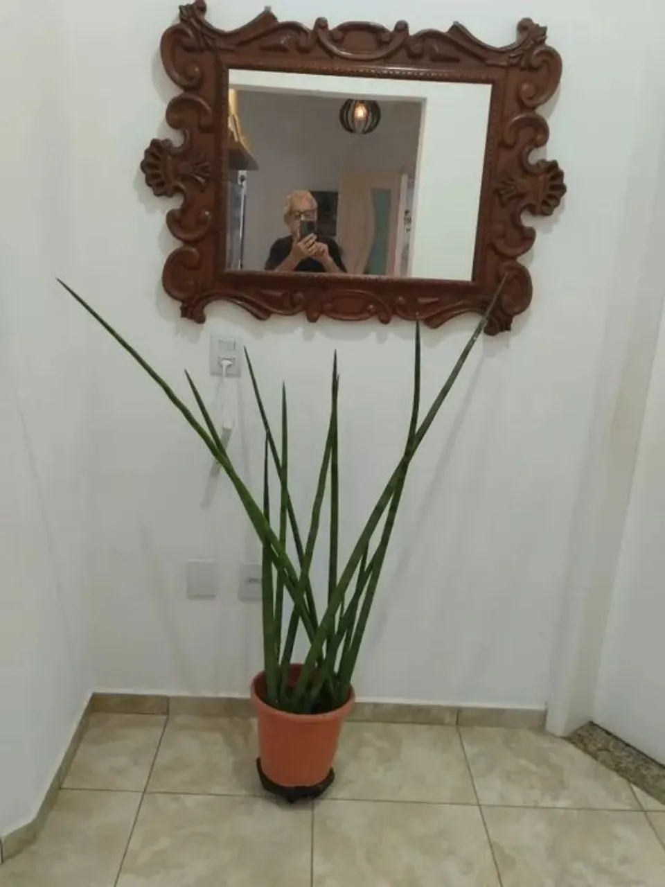 Imagem Chácara de Luxo em Condomínio: 3 Quartos, 1 Suíte, 4 Vagas de Garagem em Araçoiaba da Serra-SP