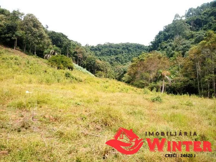 Imagem Chácara de 12,5 hectares em Bom Princípio.