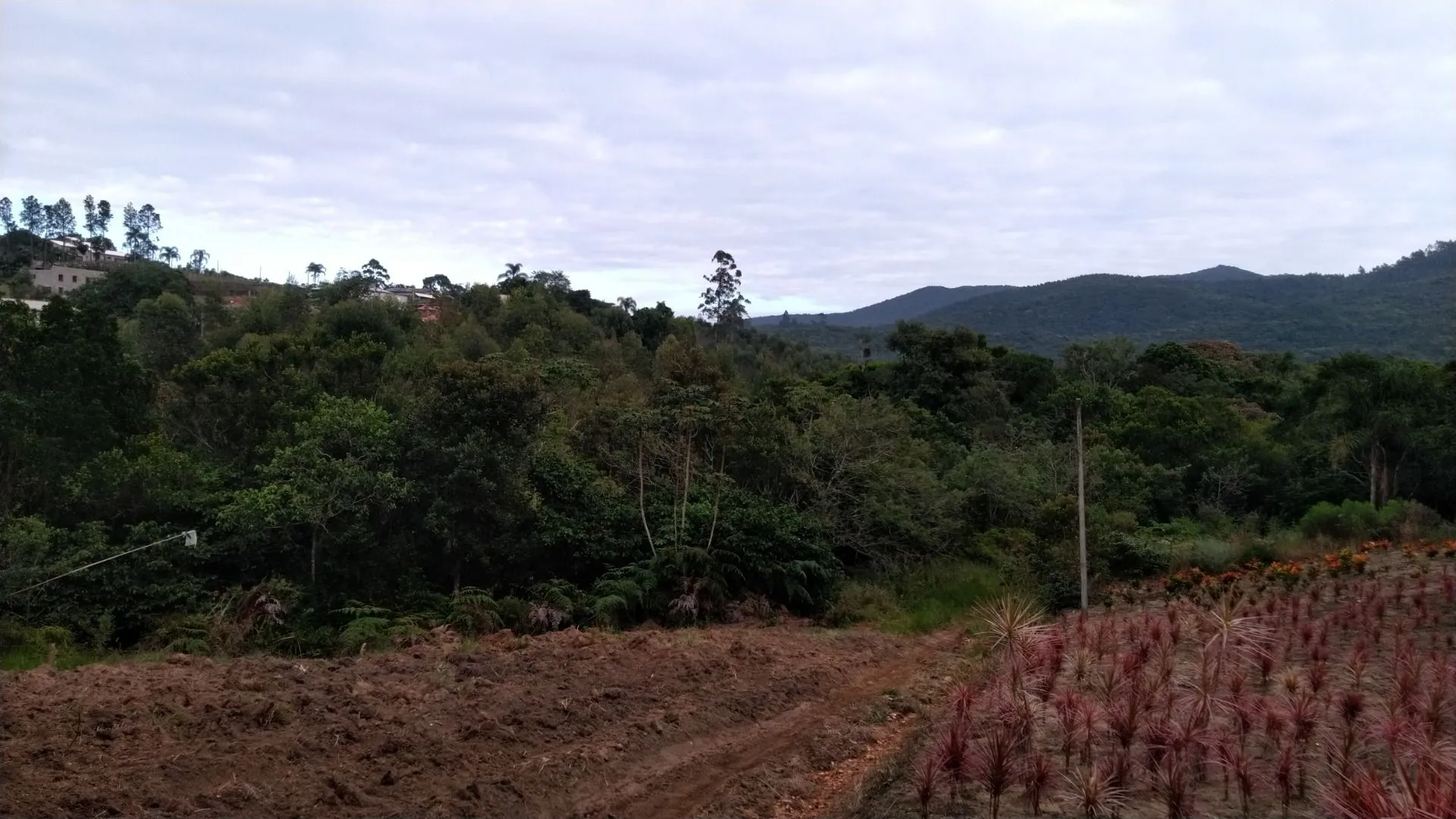 Imagem Sítio à venda com , 26.000m² em Tijuquinhas (Guaporanga) Biguaçu