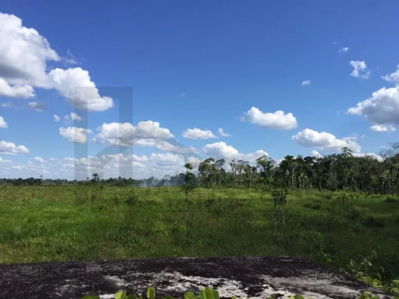 Imagem CASAL IMÓVEIS VENDE FAZENDA SÃO DOMINGOS DO CAPIM 400 HECTARES