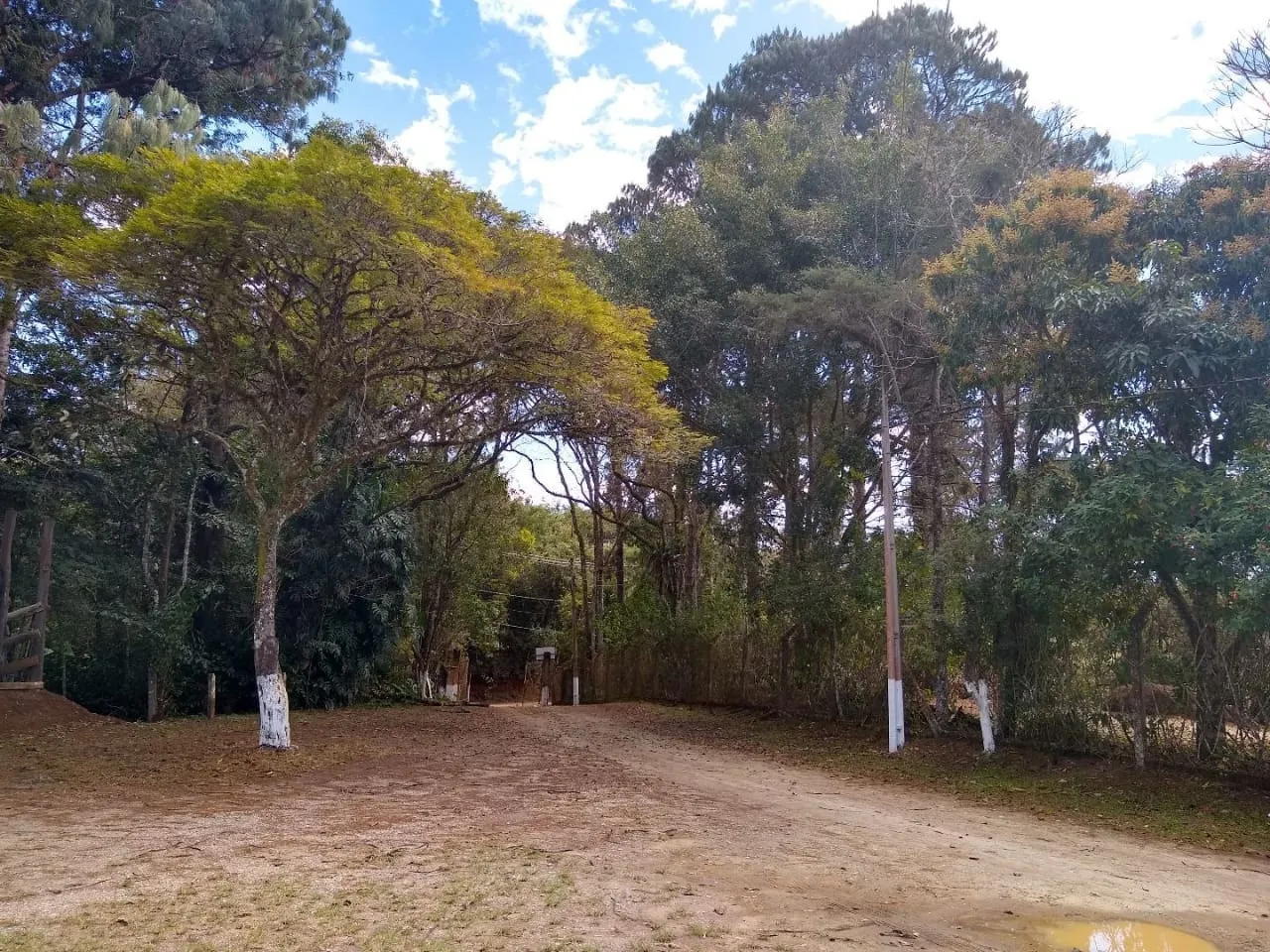 Imagem Chácara à venda 4 Quartos, 55000M², Bom Sucesso, Pindamonhangaba - SP