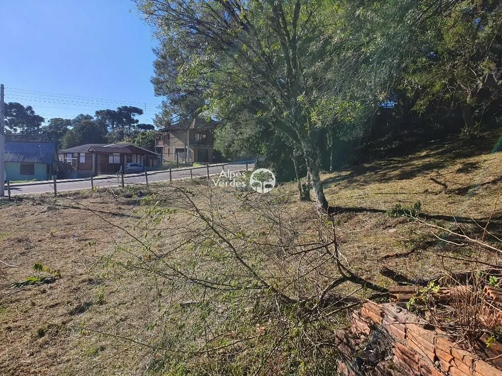 Imagem Terreno à venda, 1546 m2 por R$ 1.200.000 - Centro - Canela/RS