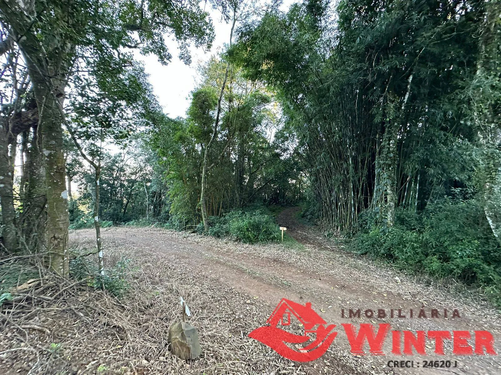 Imagem 7 hectares em Linha Nova.