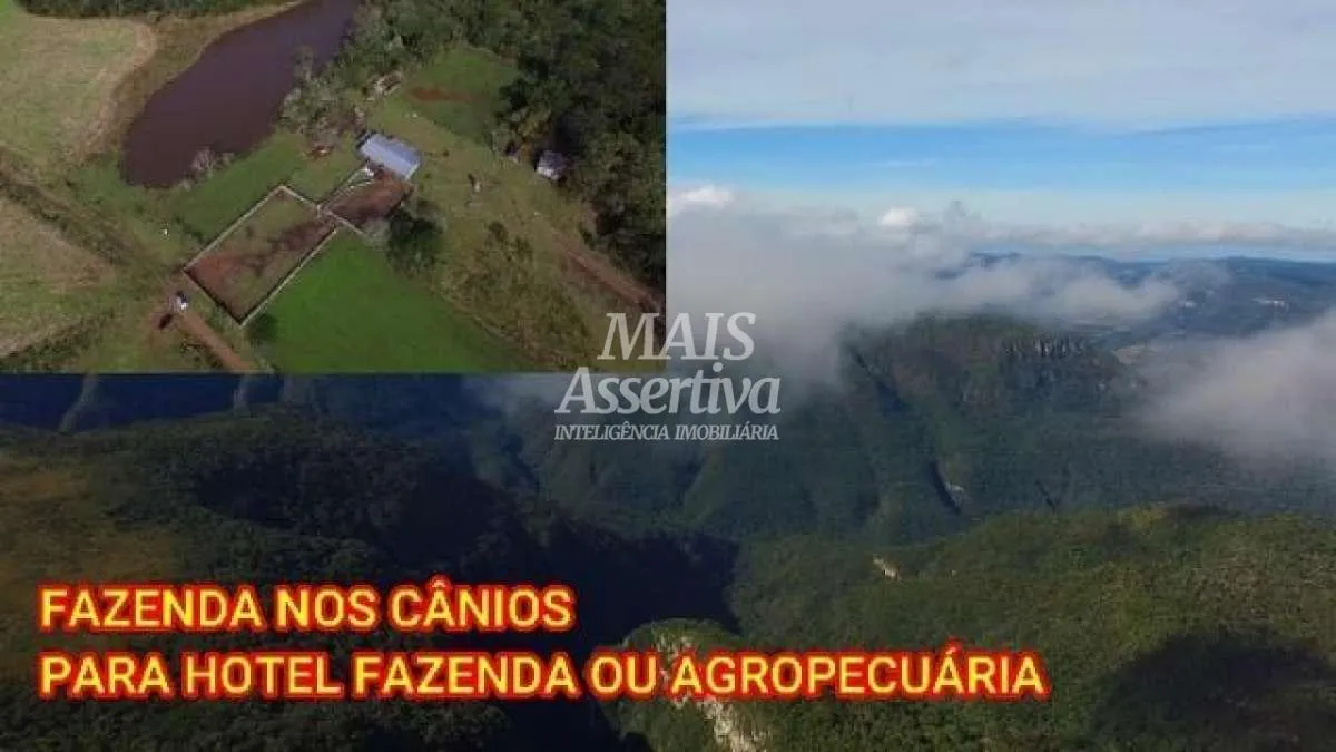 Imagem Sítio para Venda em Cambará Do Sul / RS no bairro Faxinalzinho