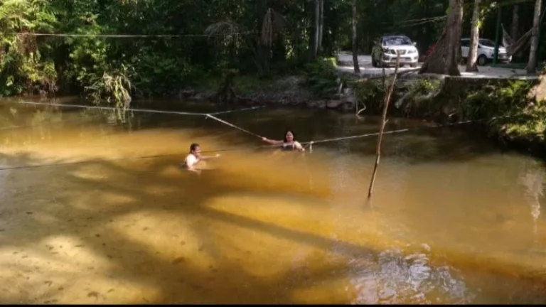 Imagem Sitio Rural em MANAUS - AM, MANAUS