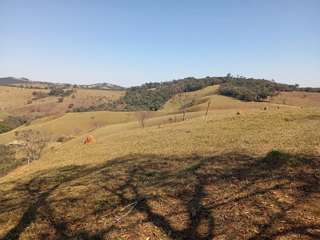 Imagem Vendo excelente sítio/fazendinha em Piedade dos Gerais/MG, com 30 hectares de terra