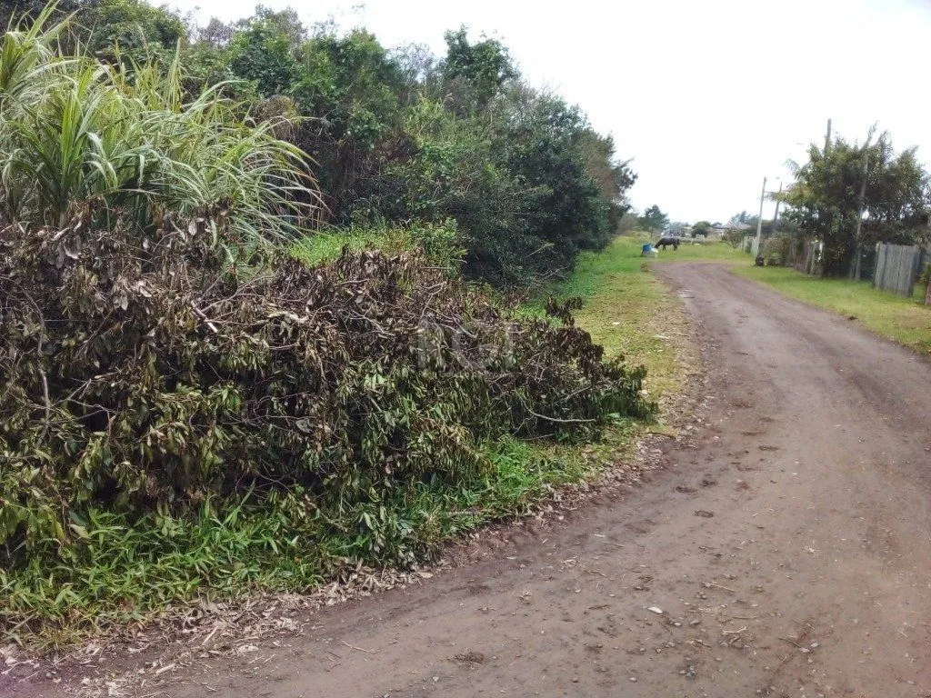 Imagem Area para Venda - 10650m², 0 dormitórios, Balneário Atlântico