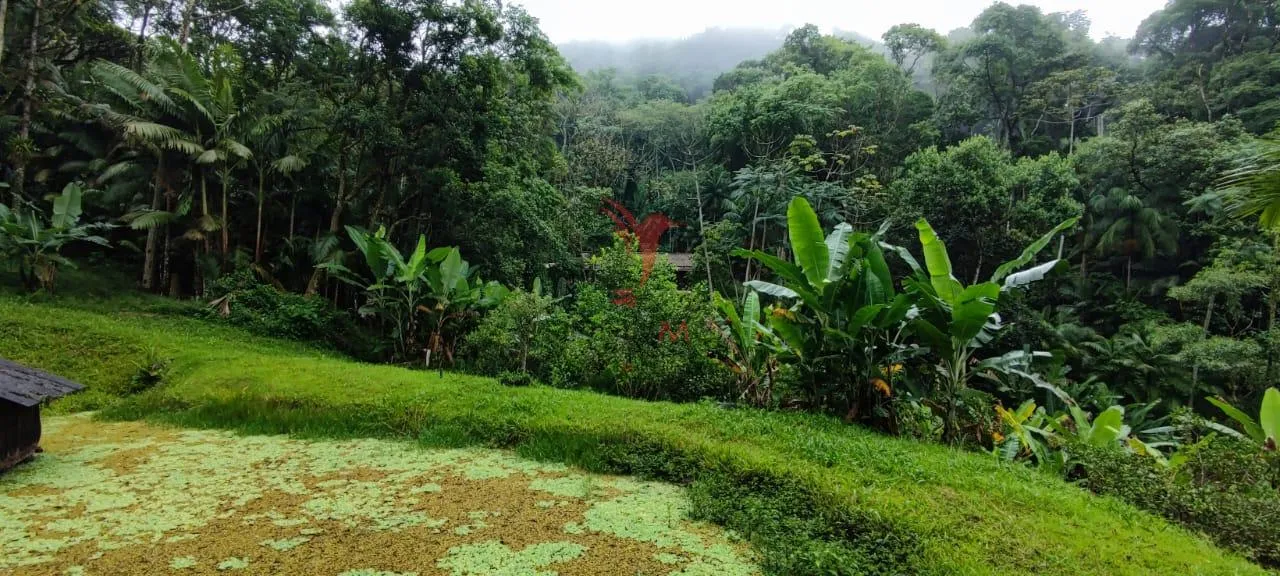 Imagem SITIO EM BLUMENAU, DOCUMENTAÇÃO TUDO OK ESTRUTURA DA CASA COM 8 CAMINHOES DE CONCRETO