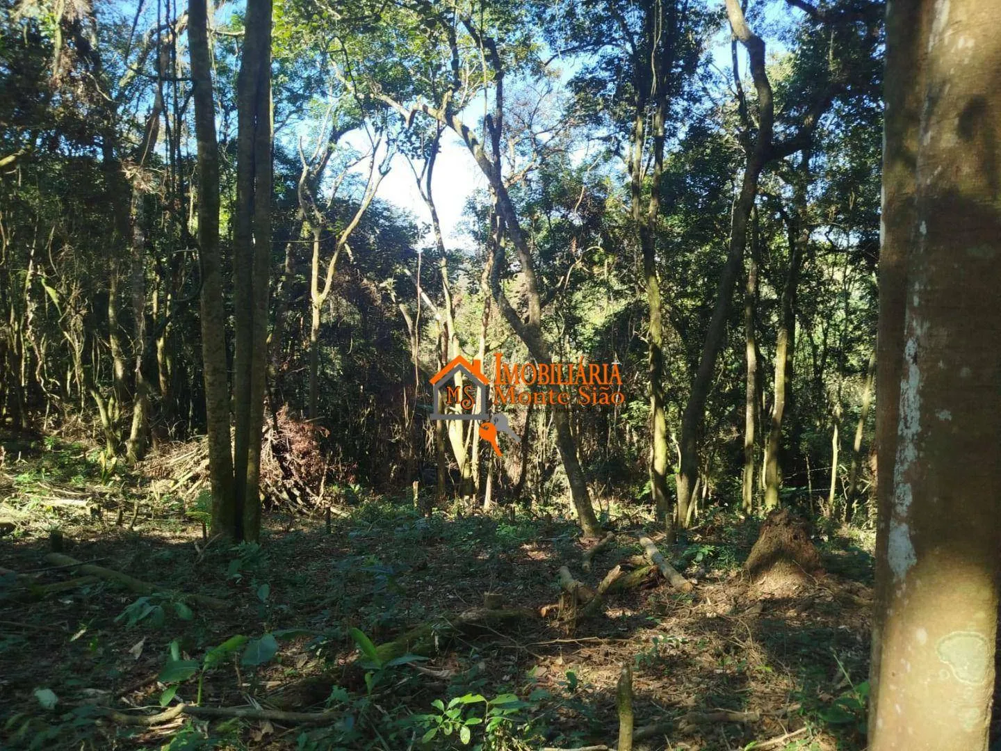 Imagem Terreno à venda, 3.068m² por R$ 212.000 - Parque Santos Dumont - Guarulhos/SP