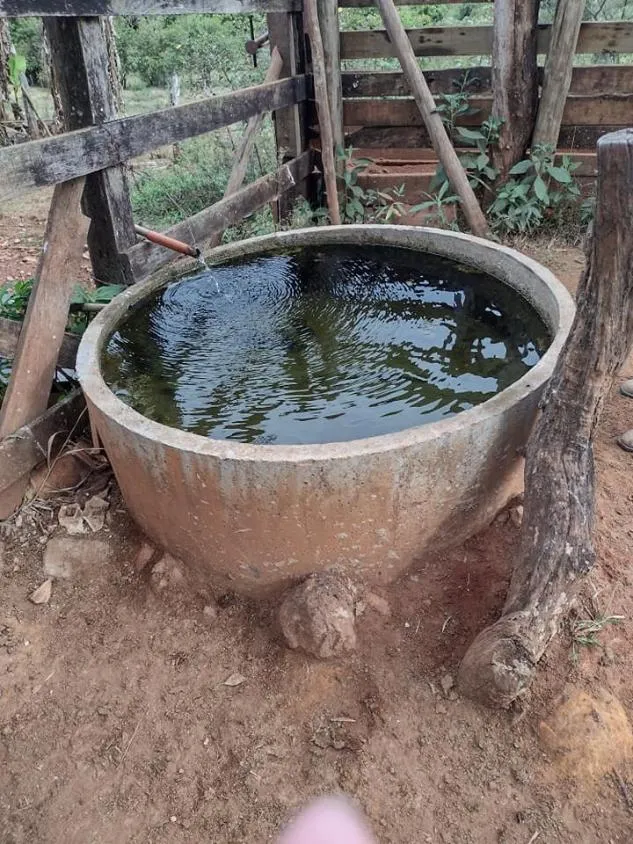 Imagem Venda de Fazenda em Crucilândia 48 hectares de terra