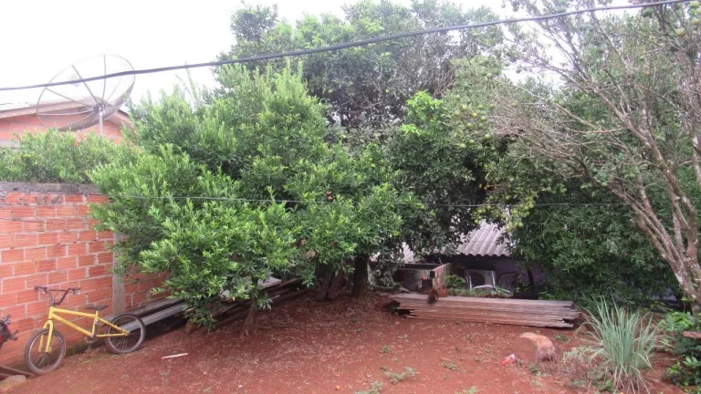 Imagem Casa para Venda em Concórdia, Santa Rita, 1 dormitório, 1 banheiro