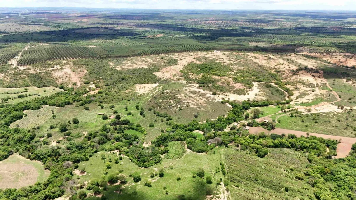 Imagem FAZENDA À VENDA - MORRO DA GARÇA (MG) 165 hectares de área total,