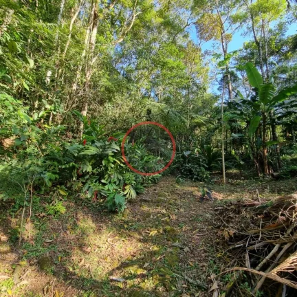 Imagem Lindo terreno na Beira Rio, com 1500 mt com patamar e area de preservaçao.