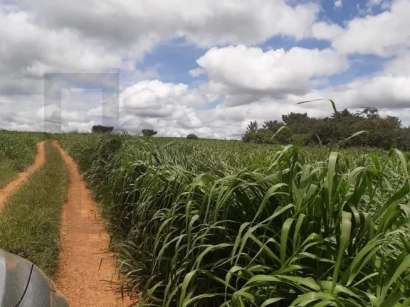 Imagem CASAL IMÓVEIS VENDE FAZENDA 4.095 ALQUEIRES - ARAGUAÍNA/TOCATINS