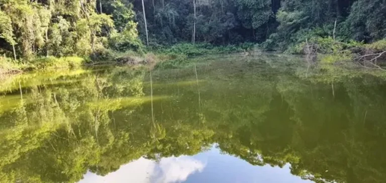 Imagem Sítio à venda em Piedade-SP, bairro Piedade, com 0,01 m² de área: oportunidade imperdível!