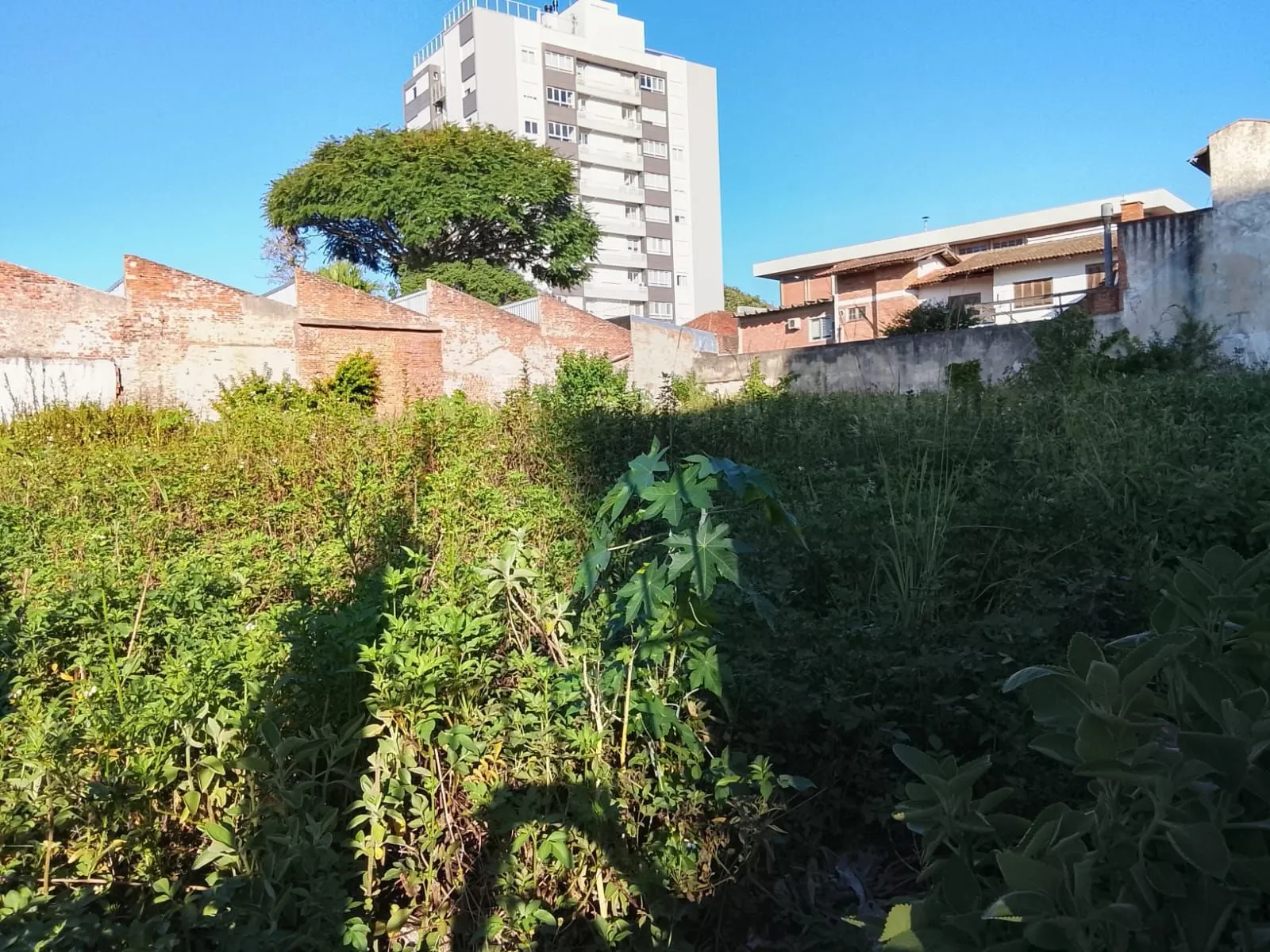 Imagem 4 Terrenos residencial ou comercial, com tapume na frente, desinpedido sem muros intermediários total de 1.126,81 m²