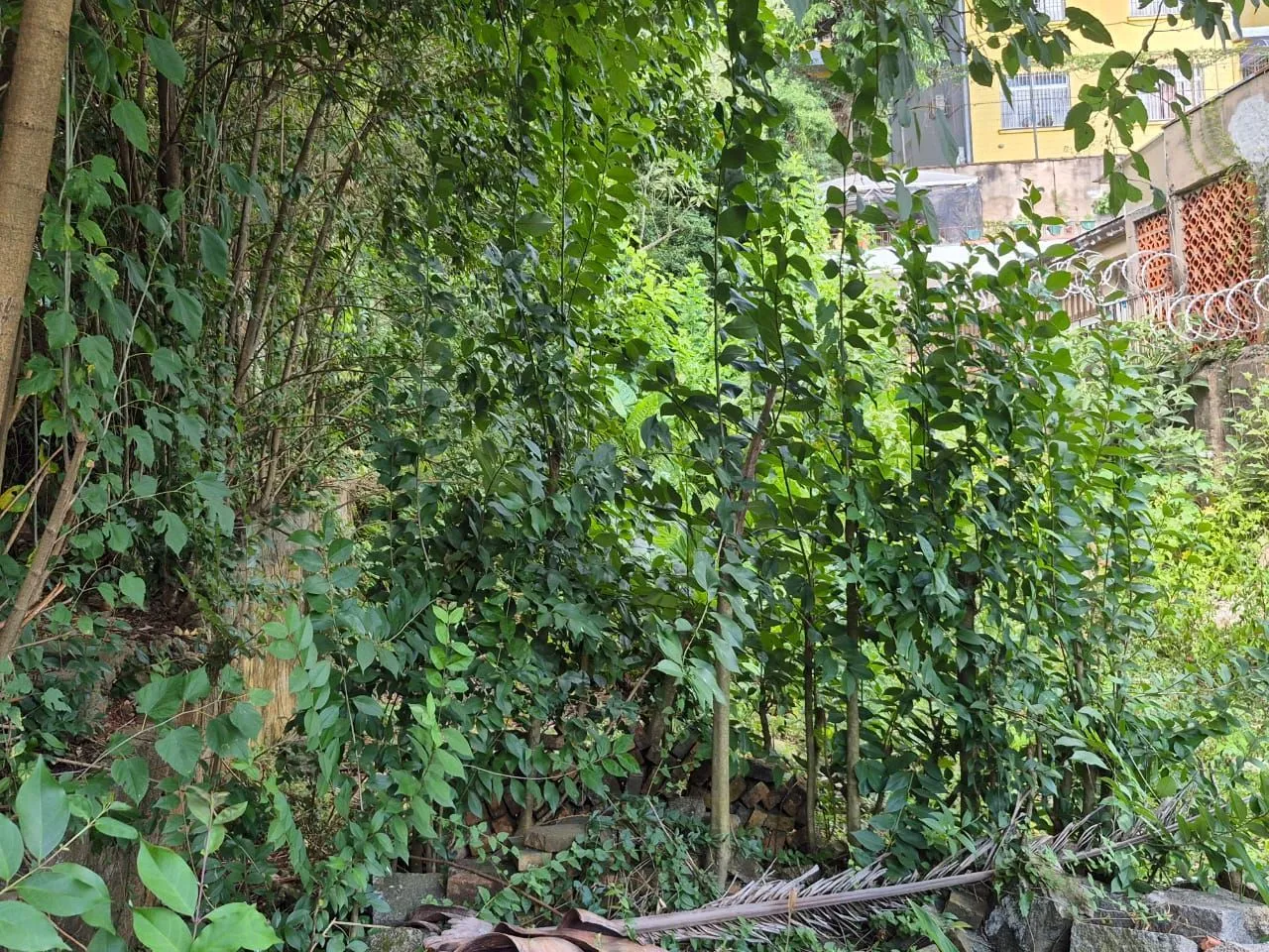 Imagem EXCELENTE OPORTUNIDADE DE TERRENO - LOCALIZAÇÃO ESTRATÉGICA!