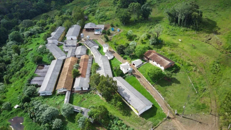 Imagem Granja para Venda em Irani, Rural