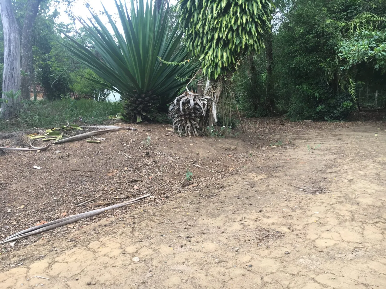 Imagem Terreno à venda 9 Quartos, 29773.51M², Bela Vista, Pindamonhangaba - SP