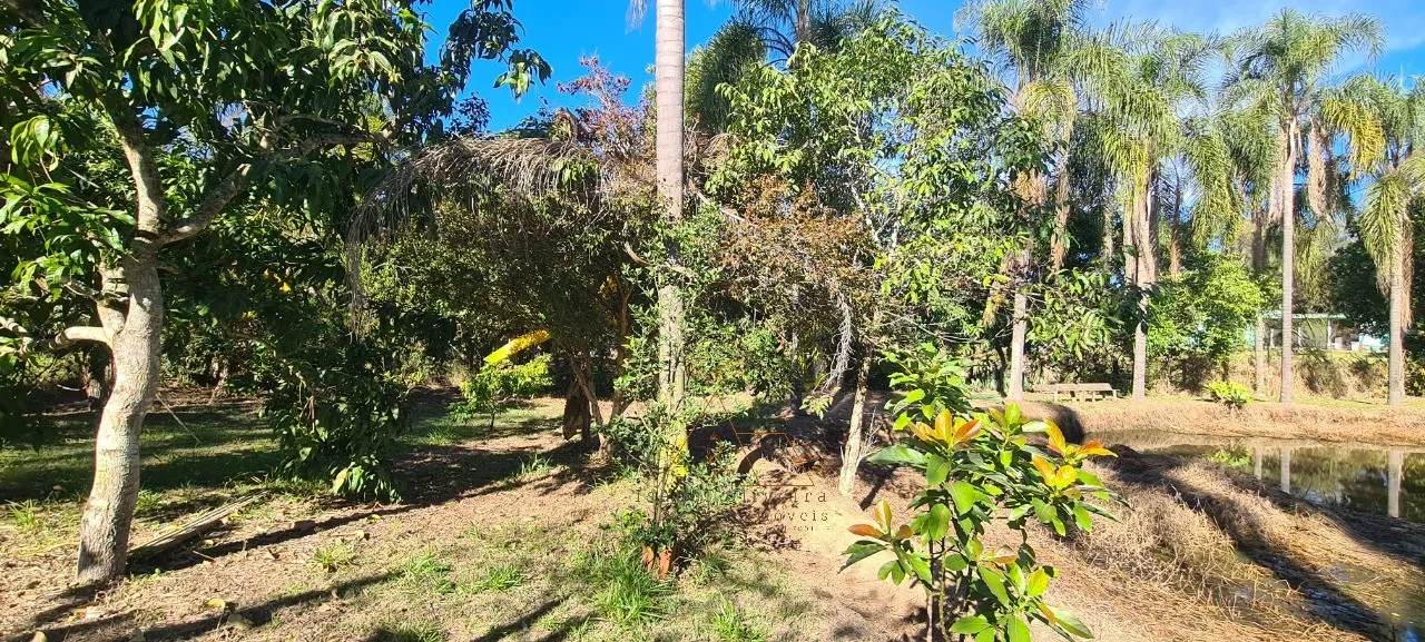 Imagem Chácara à venda em Quadra-SP, bairro Aleluia: 3 quartos, 1 sala, 2 banheiro, 120,00m² de área. Imperdível!