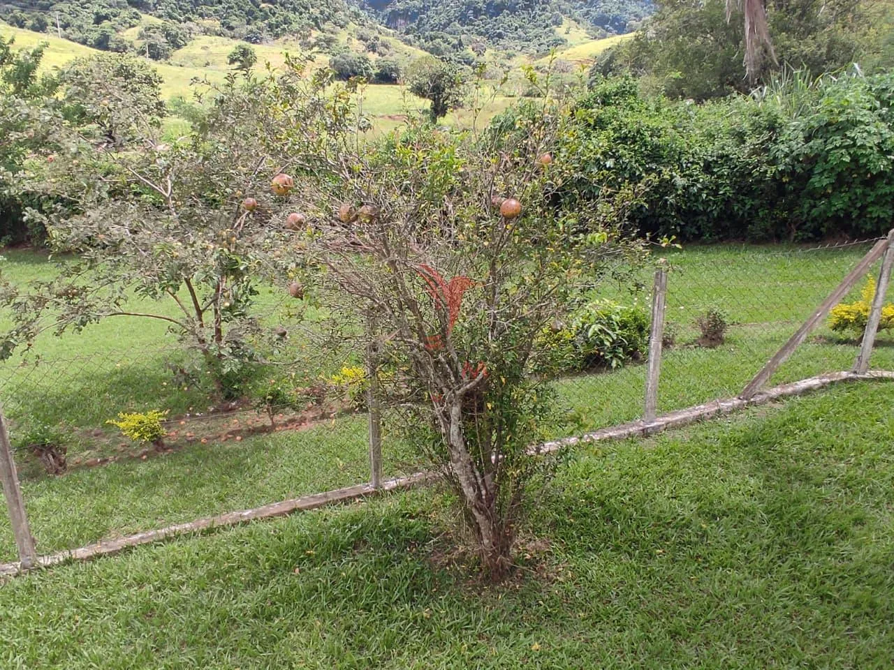 Imagem Vendo ou Permuto Chácara com vista única em São Pedro