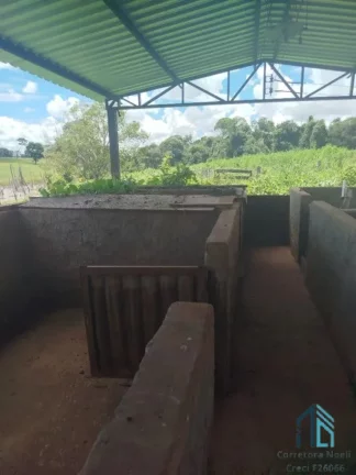 Imagem Fazenda/Sítio com 6 alqueires entre Ituaçu e Itaberaí 7 km de chão em Itaberaí em Goiânia GO