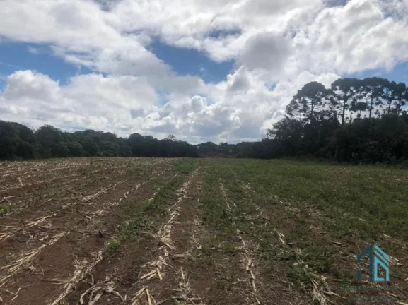 Imagem (PERMUTA) Terreno Industrial/Comercial podendo fazer 12 lotes para construção de 12 Barracões de mil metros cada em Curitiba PR