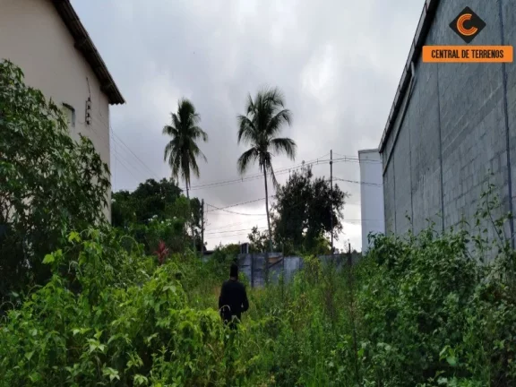 Imagem TERRENO PRÓXIMO AO BOSQUE DA PAZ