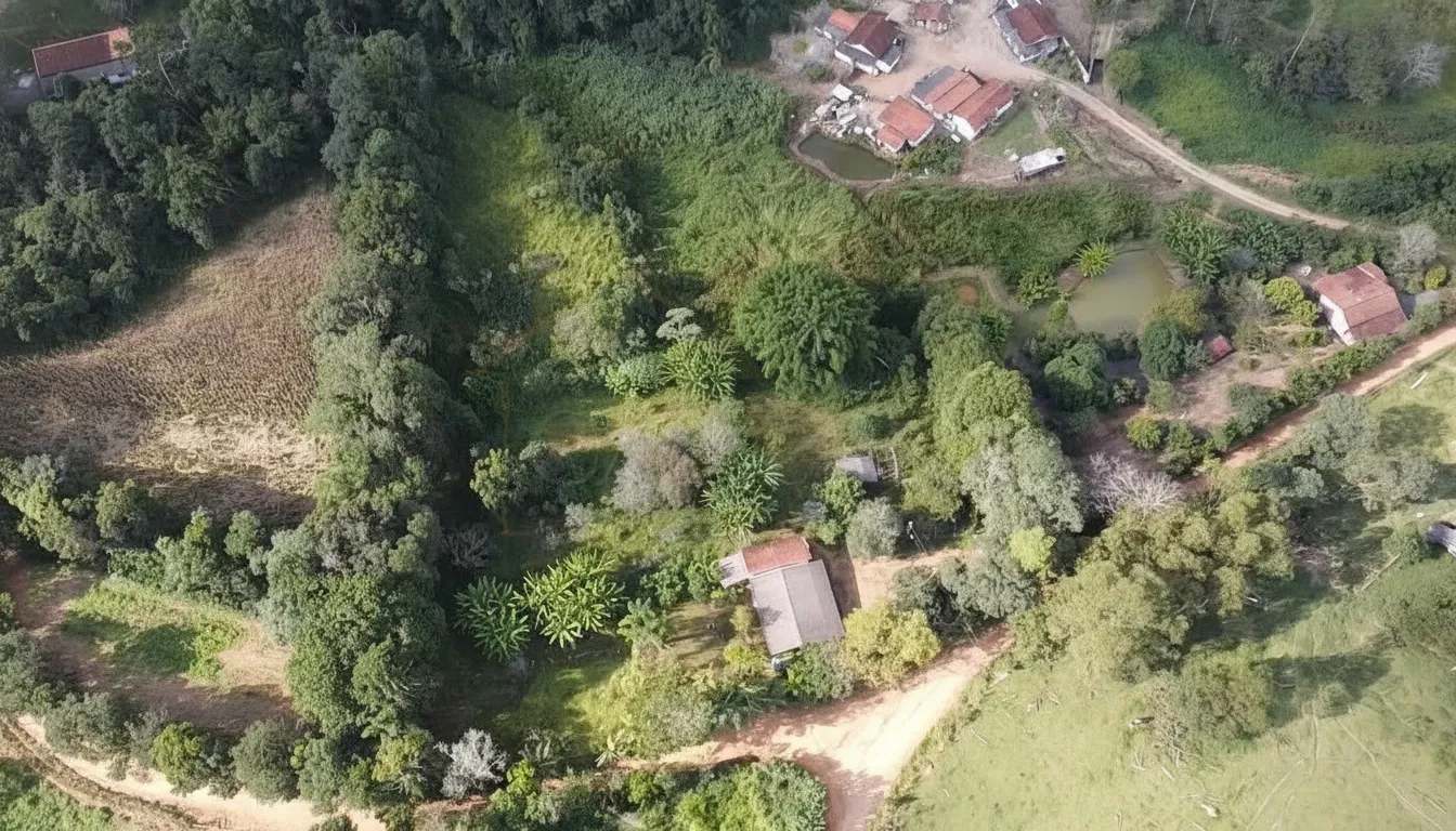 Imagem Chácara 40 m² à venda em Correias, Bandeira do Sul