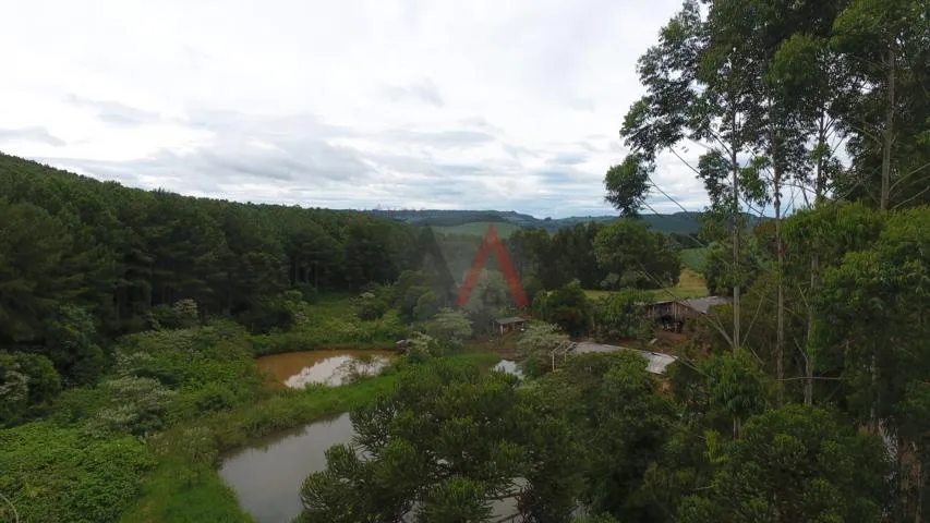 Imagem Excelente área Rural, com 518564.00m , Linha São Paulo, RENASCENCA - PR