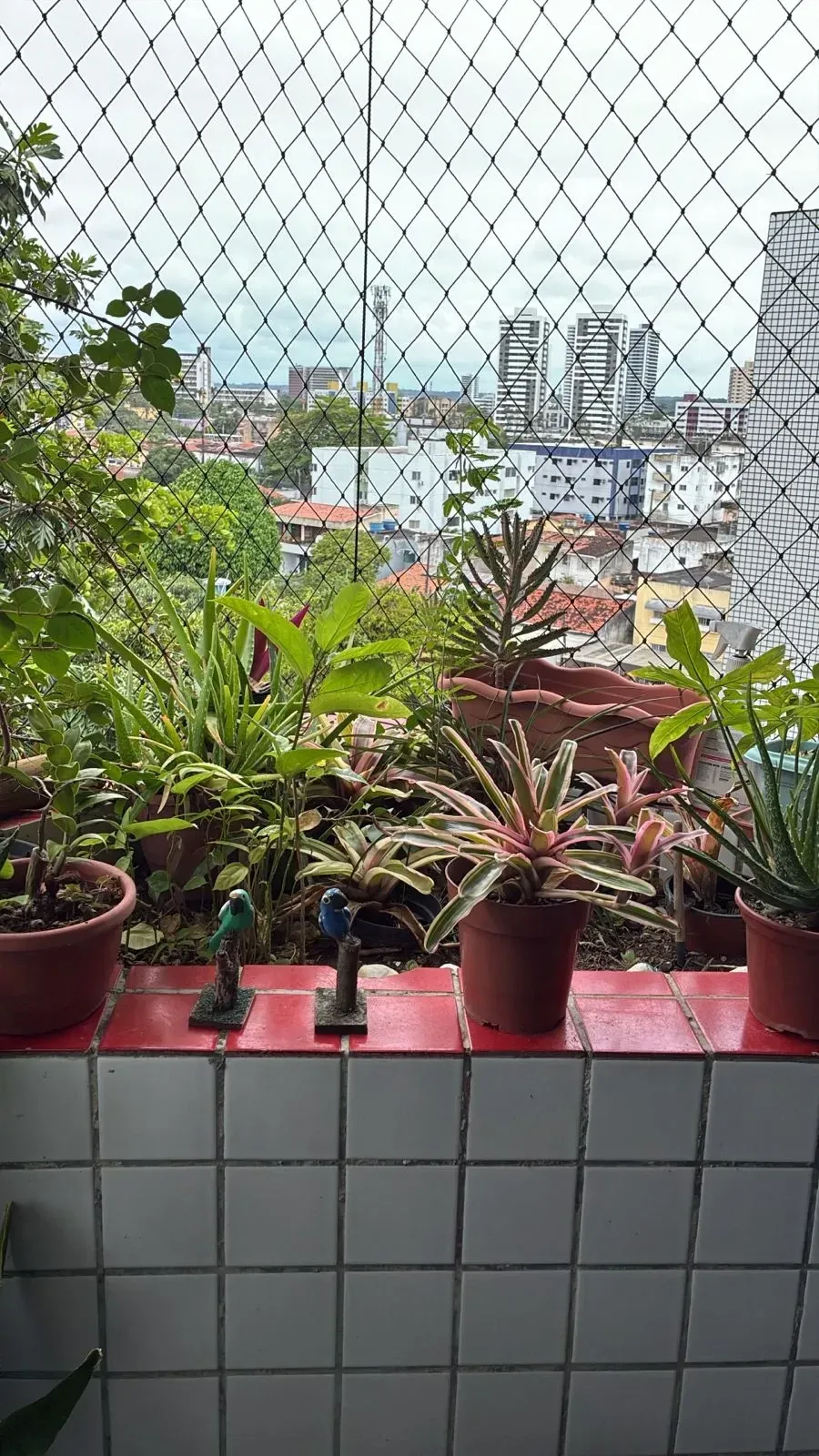 Imagem Apartamento com 3 Quartos à Venda, 135 m² em Iputinga - Recife