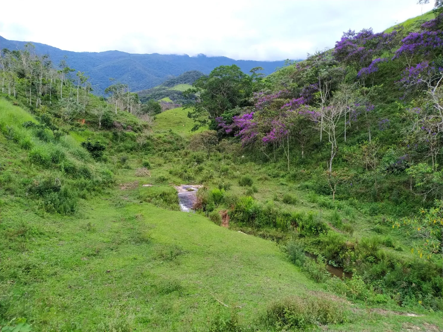 Imagem Chácara à venda 76000M², Ribeirão Grande, Pindamonhangaba - SP