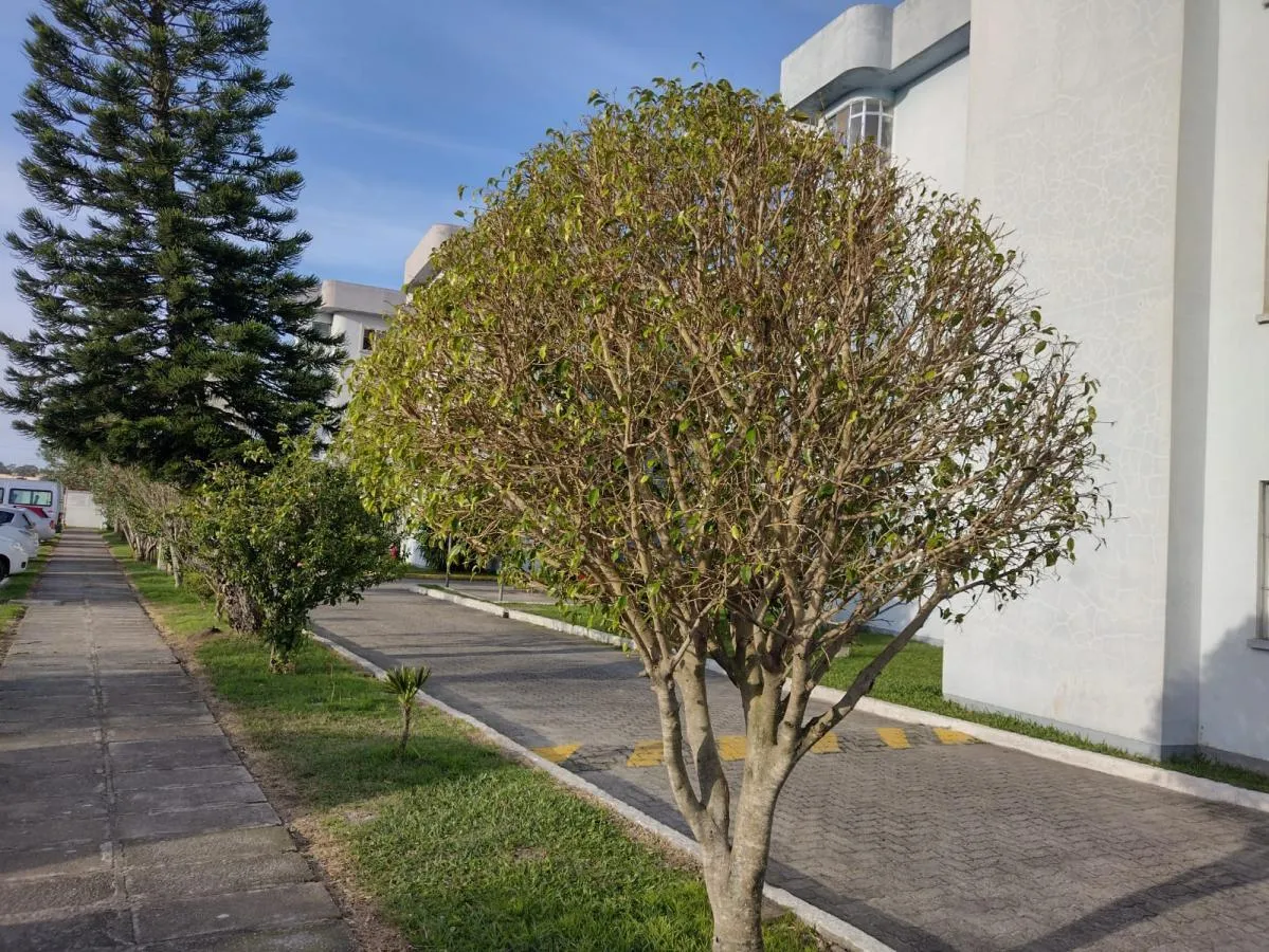 Imagem Apartamento para Venda em Pelotas, São Gonçalo, 2 dormitórios, 1 banheiro, 1 vaga