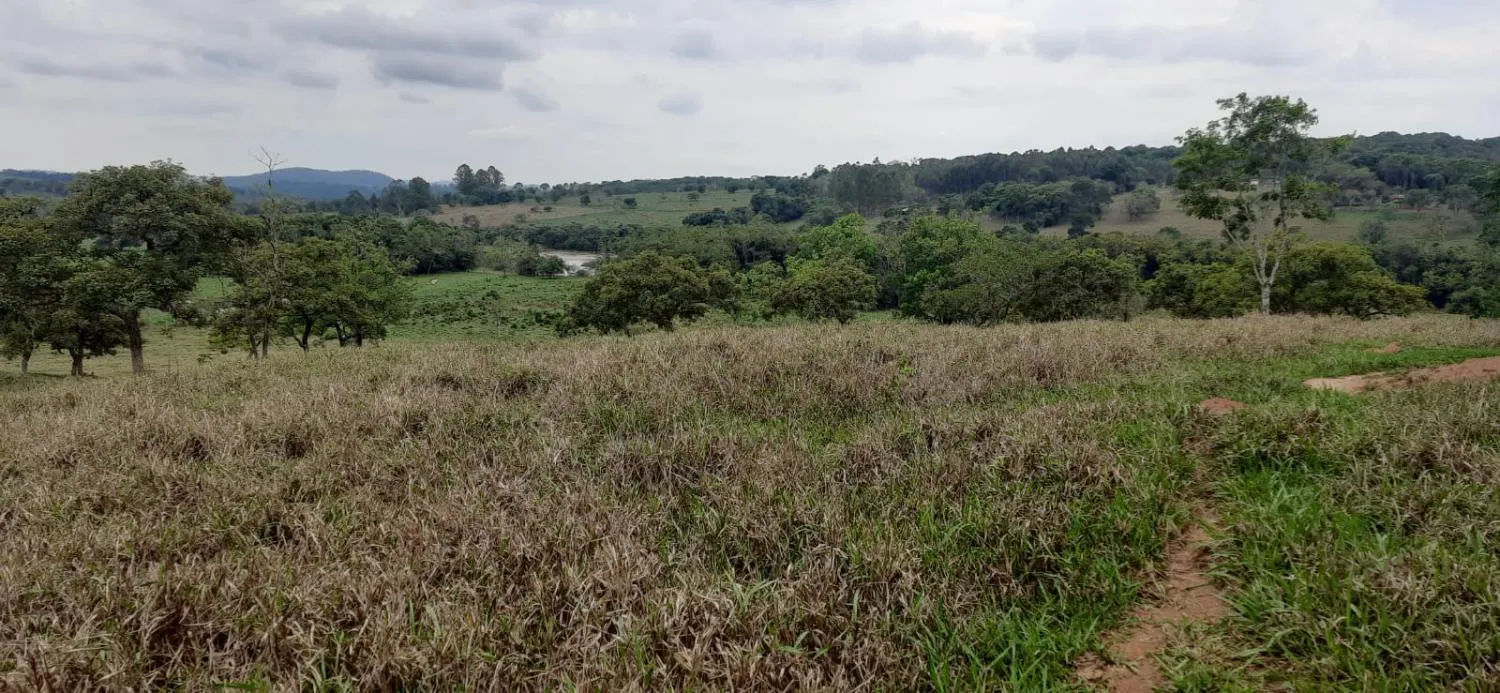 Imagem Terreno à Venda em Carmópolis de Minas 13,5 hectares, todo formado