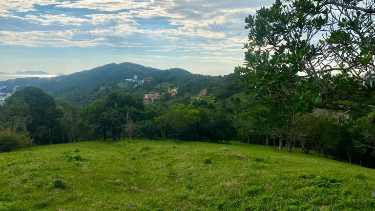 Imagem Terreno à venda em Garopaba-SC, na Praia da Silveira, com 4.908,00 m² de área! Aproveite essa oportunidade única!