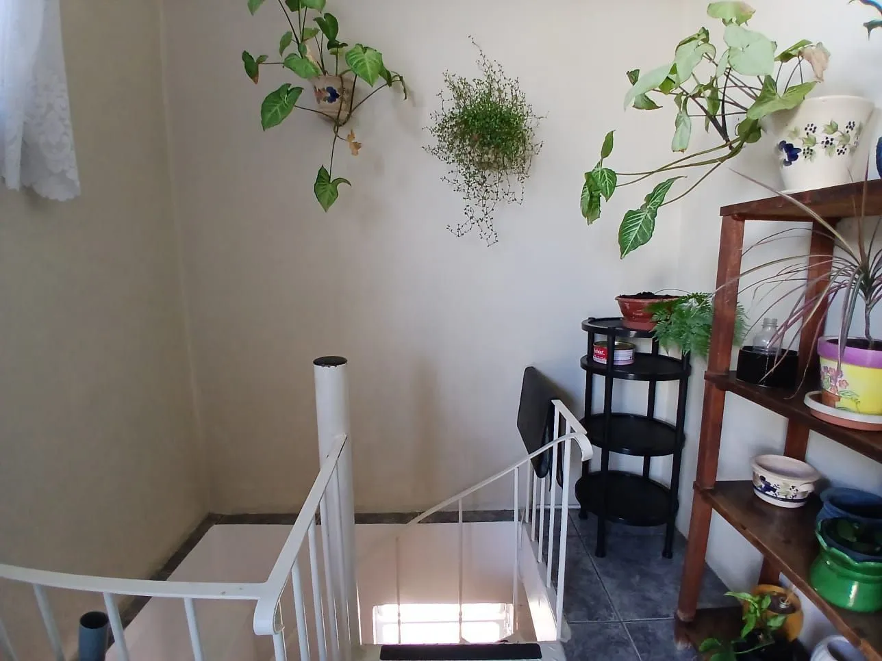 Imagem Casa com 03 dormitorios e amplo jardim no bairro Santa Tereza /RS