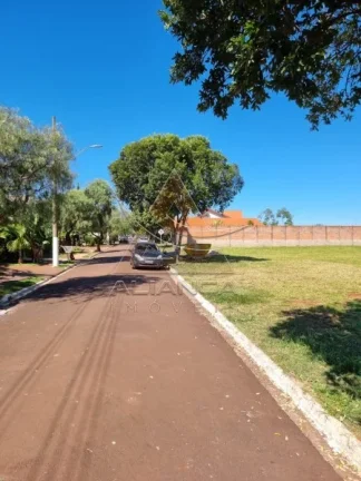 Imagem Terreno Condomínio - Cravinhos - Jardim Alto das Acácias
