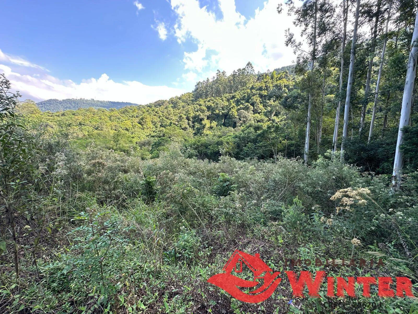 Imagem Área com 2162 m2 em São Vendelino