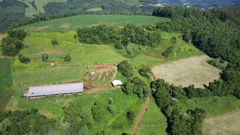 Imagem Área Agrícola para Venda em Lindóia do Sul, Centro