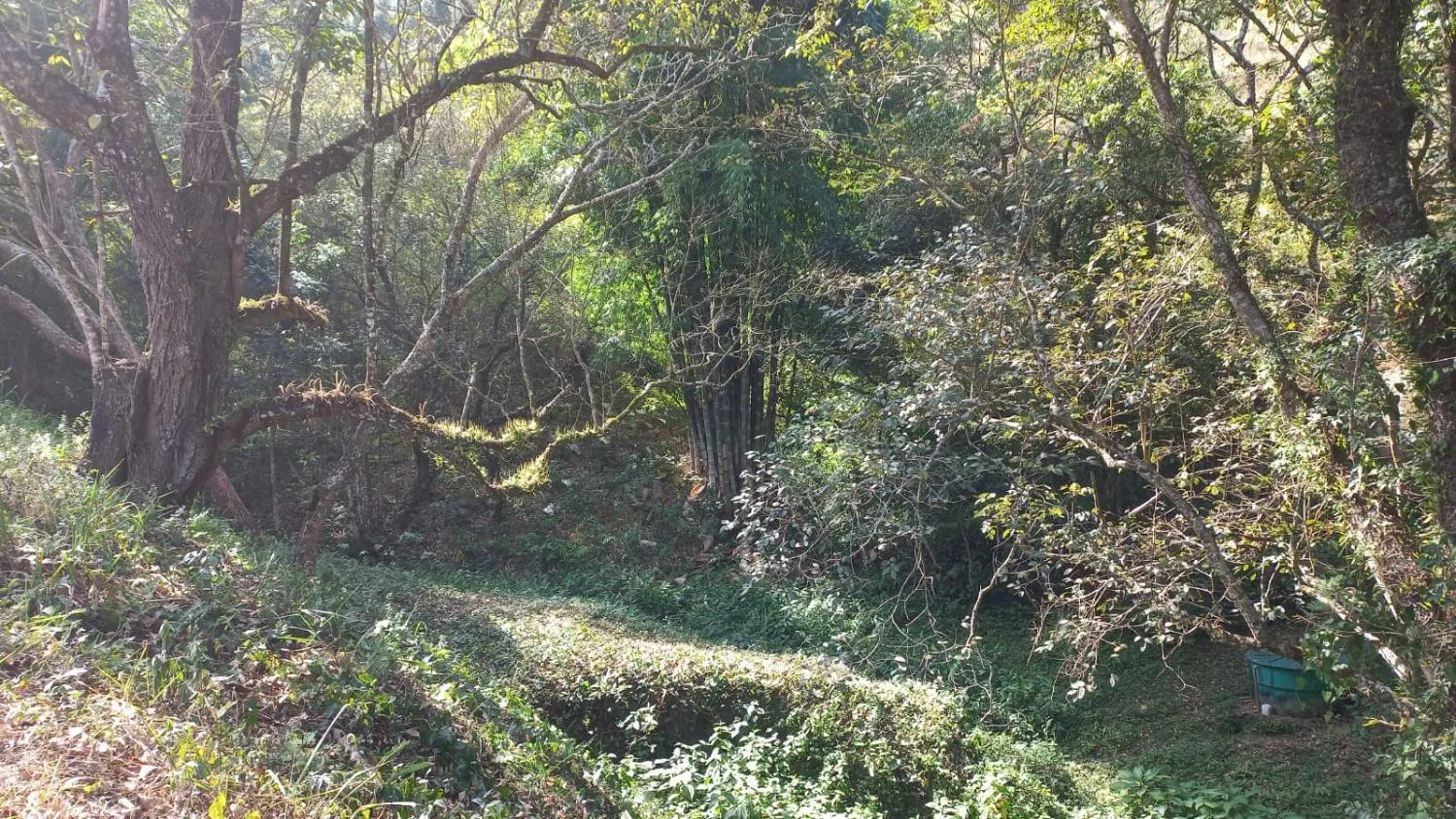 Imagem SITIO - JOANOPOLIS