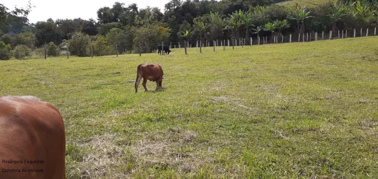 Imagem CHACARA RURAL em CAMPESTRE - MG, CENTRO