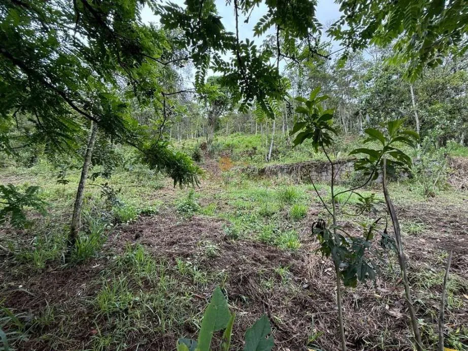 Foto do imóvel Terreno para Venda em Teresópolis / RJ em Estrada Vargem Grande