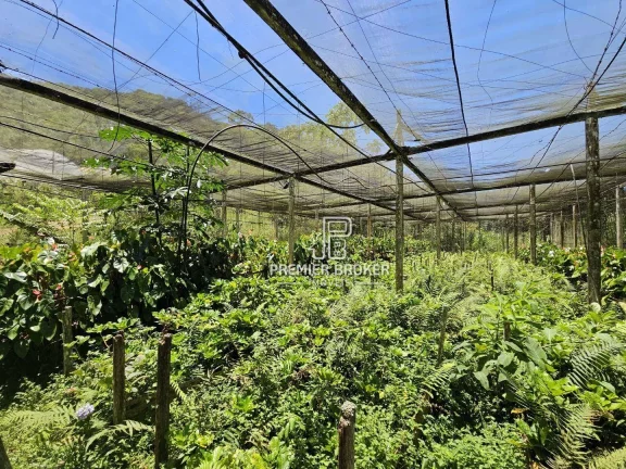 Imagem Sítio à venda, 338800 m² por R$ 2.600.000,00 - Ponte Nova - Teresópolis/RJ