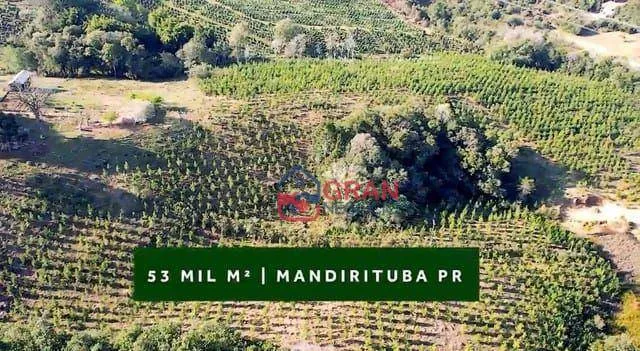 Imagem Chácara à venda em Mandirituba